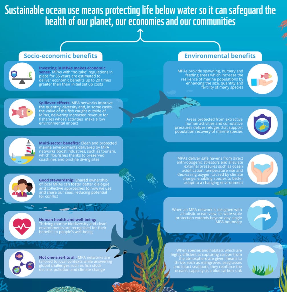 Ocean Protection: Vital to Conservation and Climate Action | REVOLVE