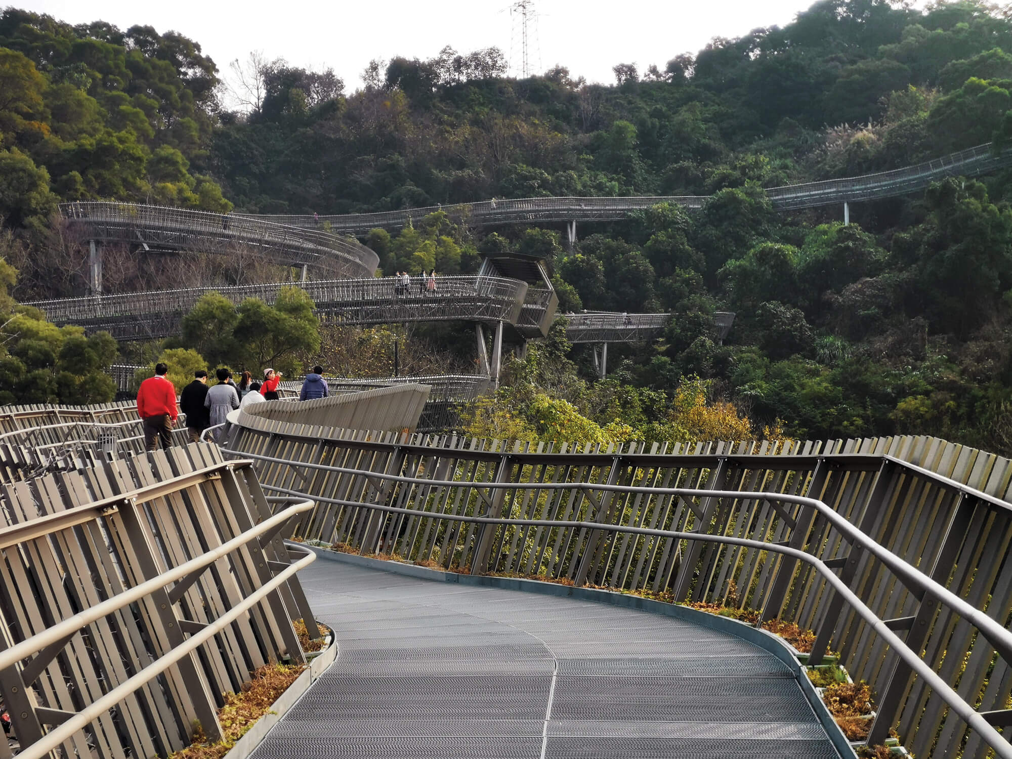 Is Urban Growth Killing Our Forests? The Shocking Link - 4ov7ui3