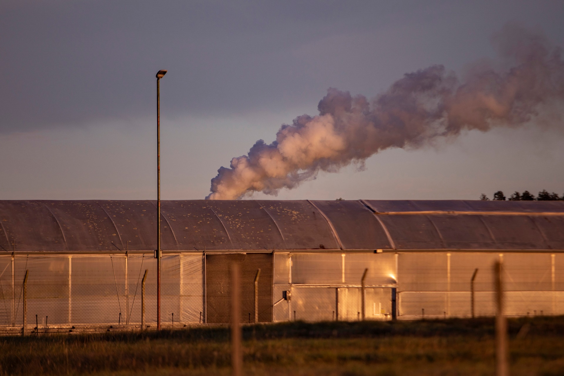 Urban and community forestry in one image. Smoke coming out of the chimney at UPM's Santana Nursery.