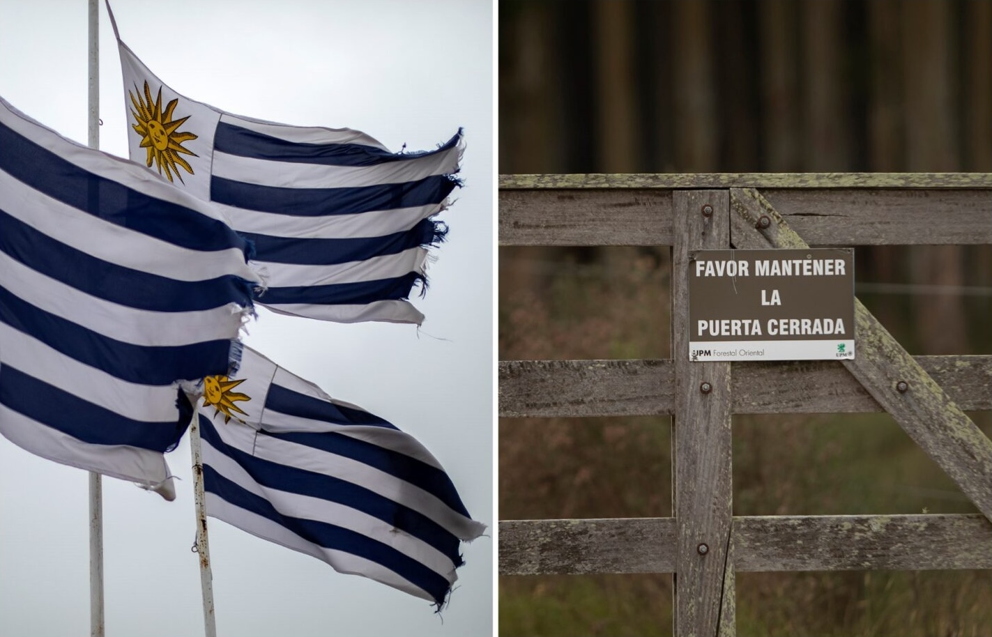 Two images. Left: Uruguayan flags in the wind. Right: Closed gate of one of UPM's plantations outside Guichón via Piñera. The sign reads "Favor mantener la Puerta Cerrada".