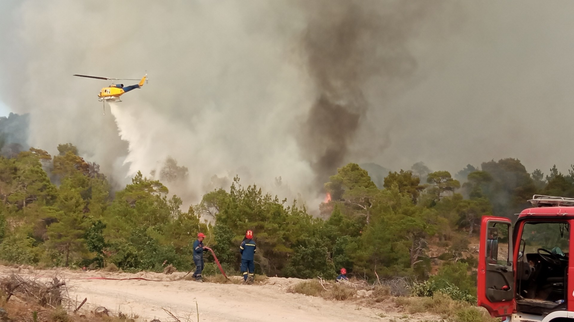 Photo of firefighters extinguishing a wildfire at a conifer forest in Greece, Europe.