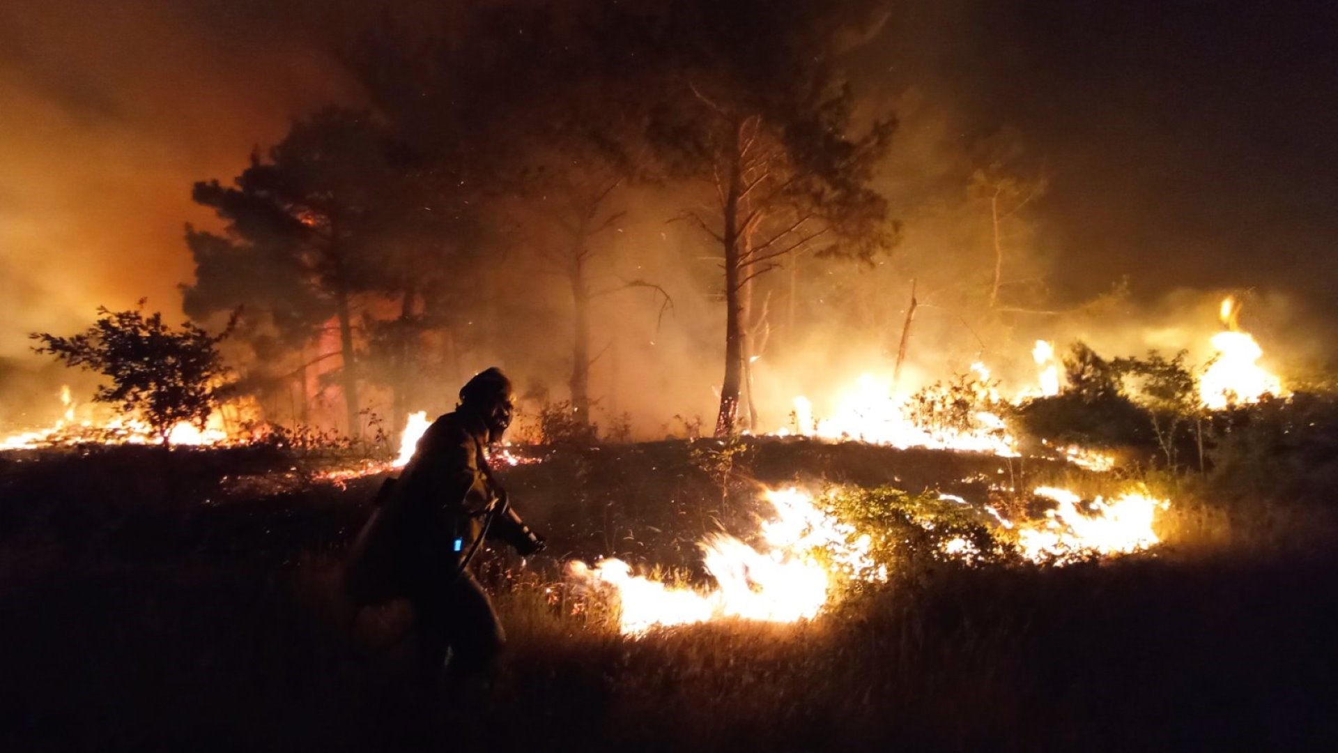 A dark view of European wildfires. Photo of a firefighter putting down the by night at the Dadia forest. 