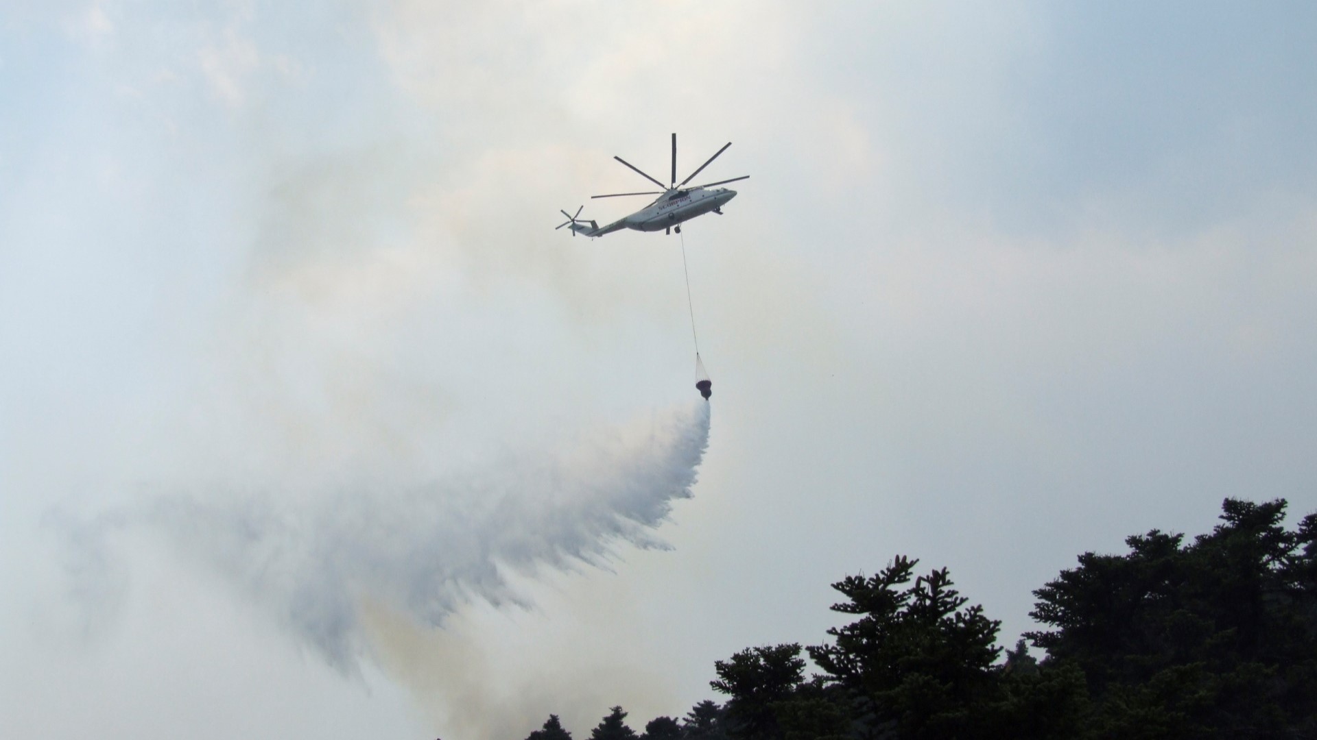 Firefighting aircraft above a pine forest, putting down the fires in Greece.