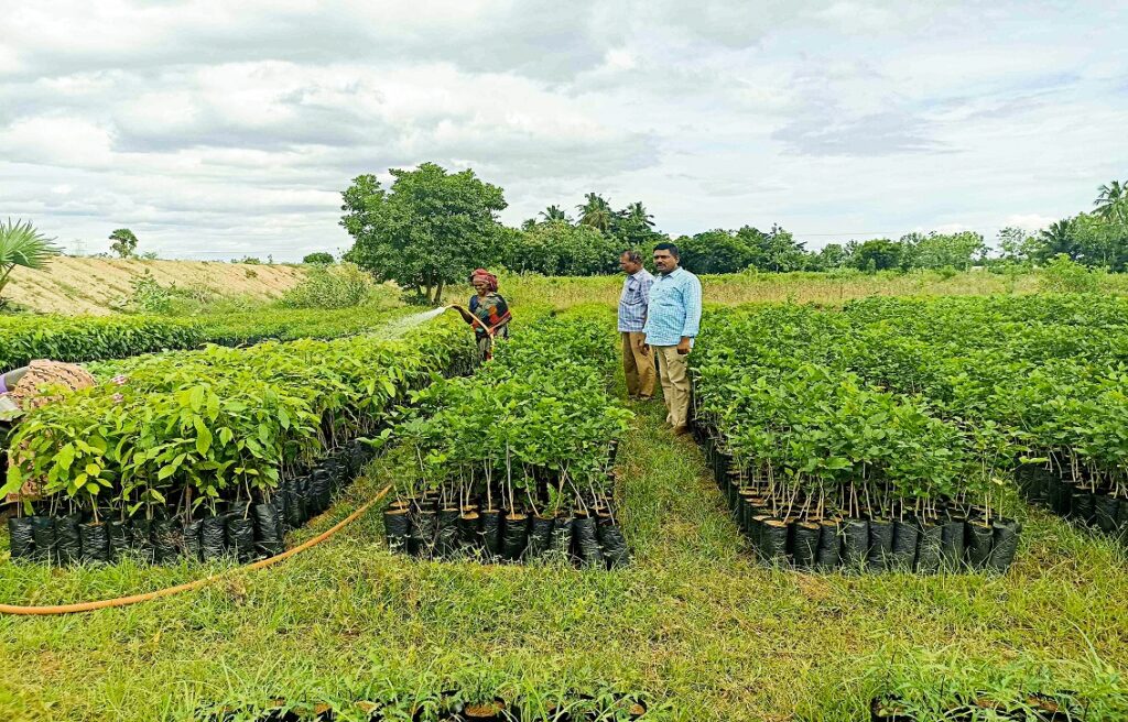 Photo of three people by the crore sapling plantations in Tamil Nadu created as a part of  Tamil Nadu - biodiversity conservation project in India.