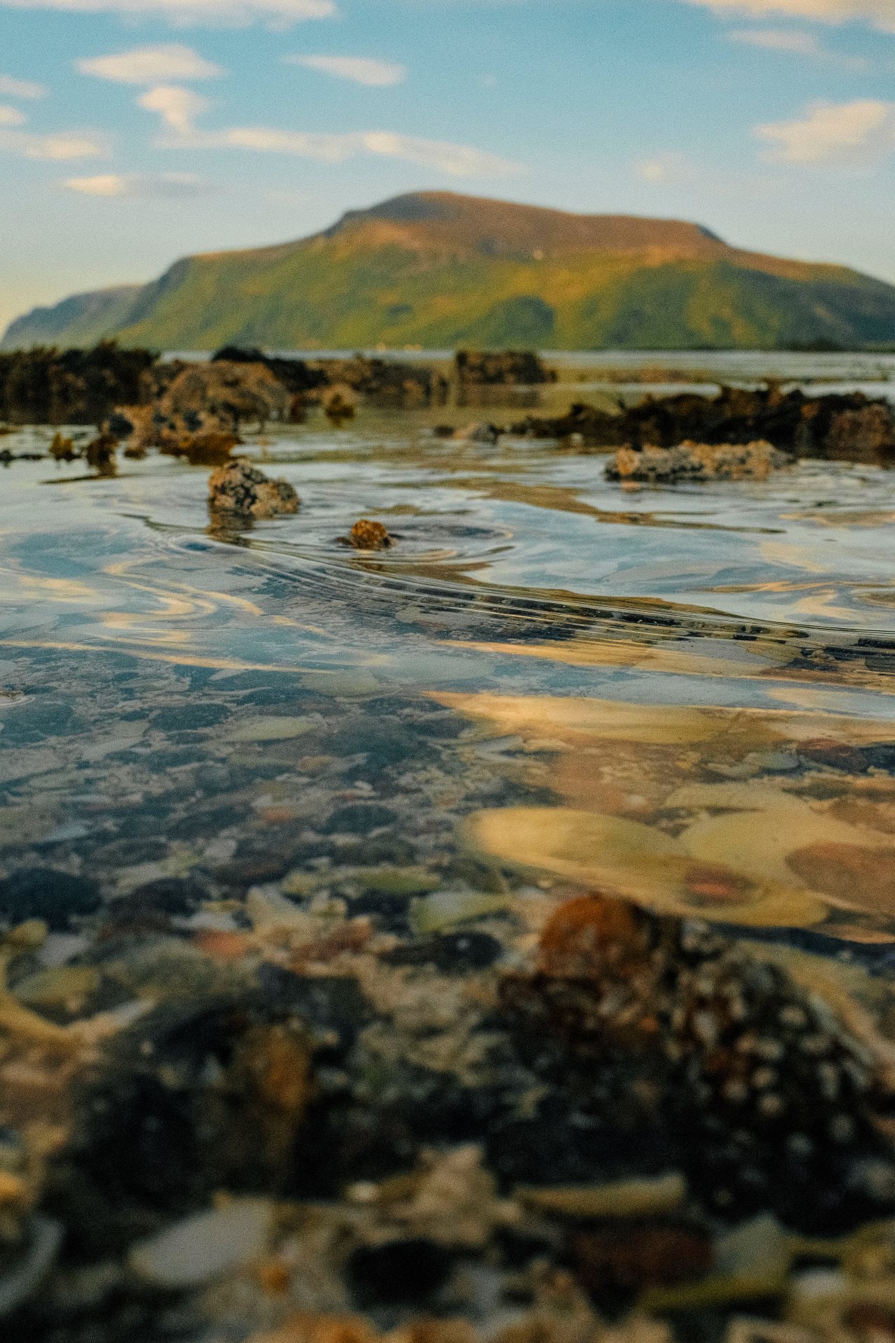 A landscape photo of the beach in the north region of Sortland.