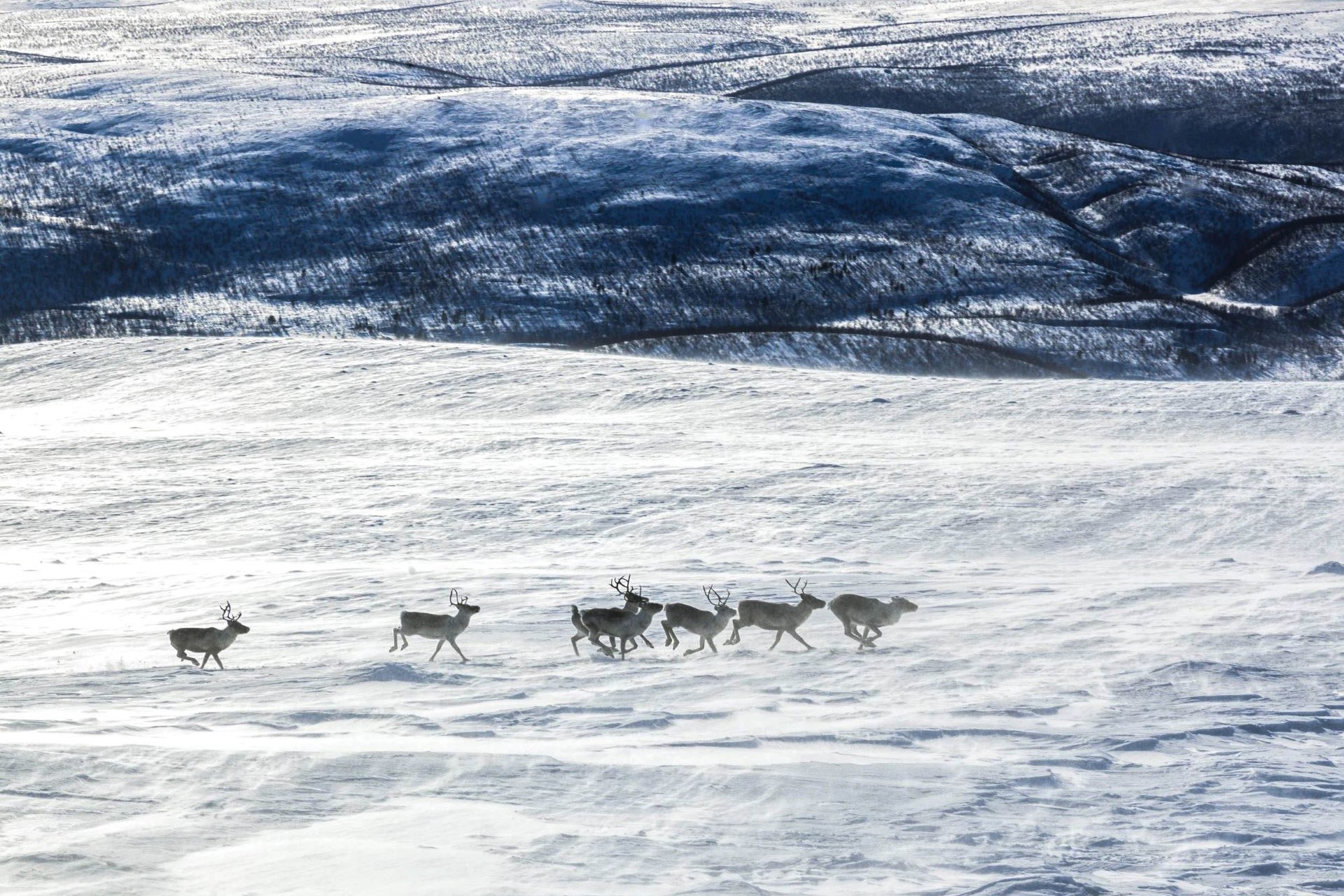 Utsjoki Lapland 