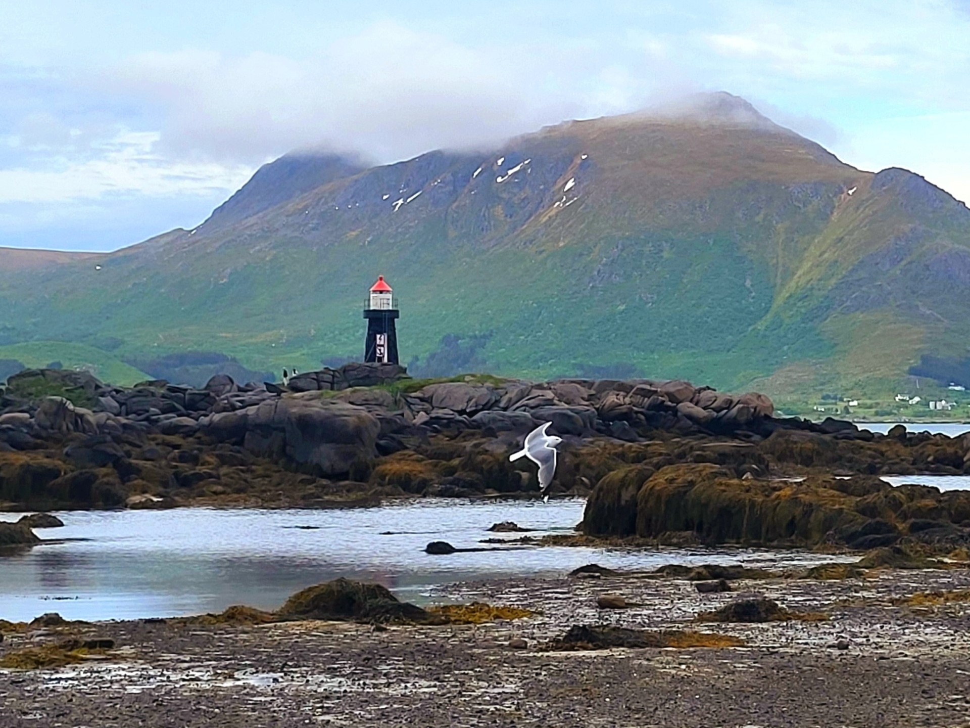 sea ecosystem in norway