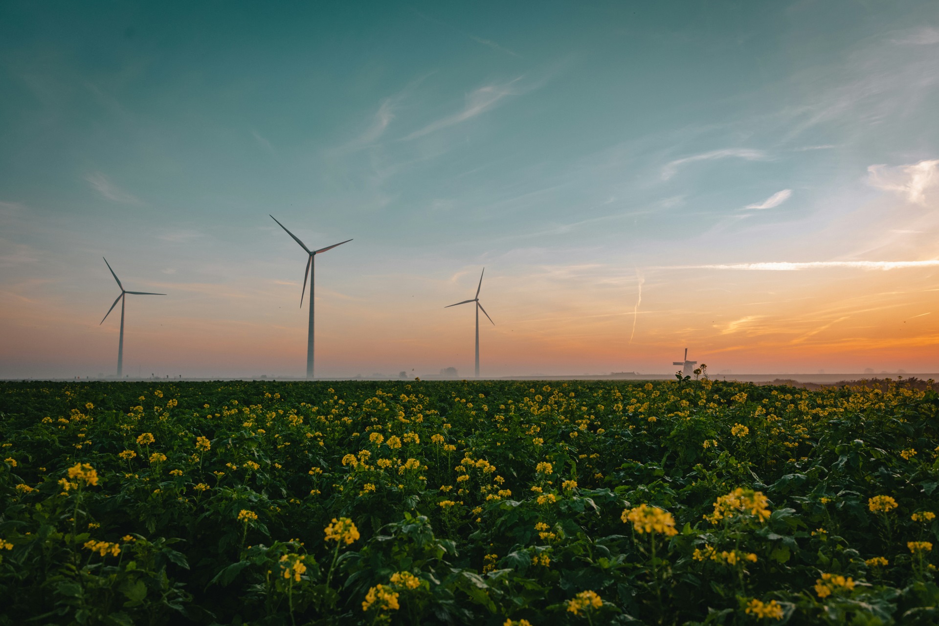 Wind turbines in the Netherlands