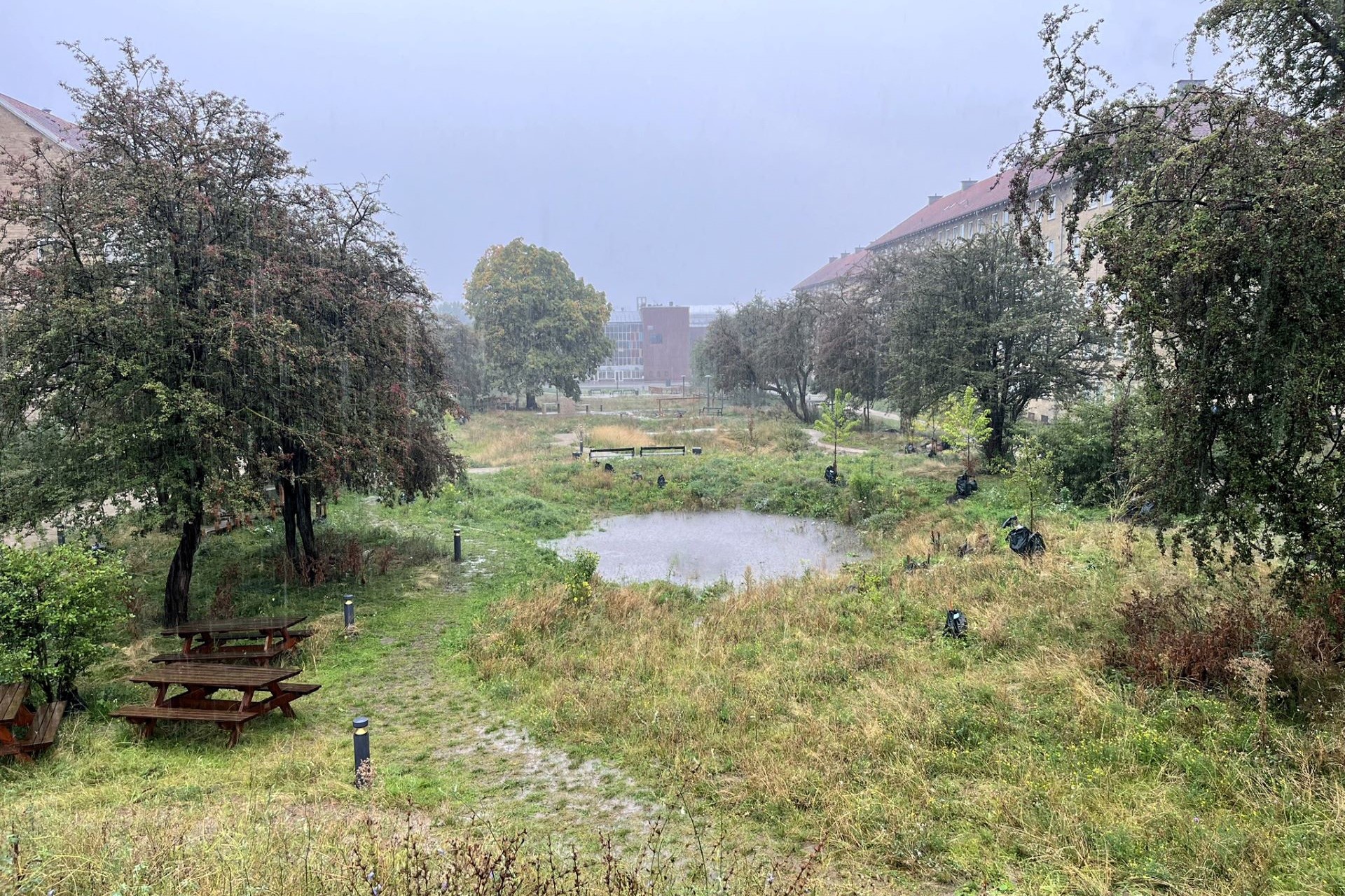 Photo of te climate park adds ecological and social value to the city, rain or shine. Photo: SLA 